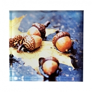����� ��� ���������� 1.2�0.6�5 ��